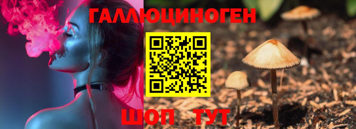 Галлюциногенные грибы мухоморы  Псилоцибиновые грибы Cubensis  Заринск  Вход с VPN 