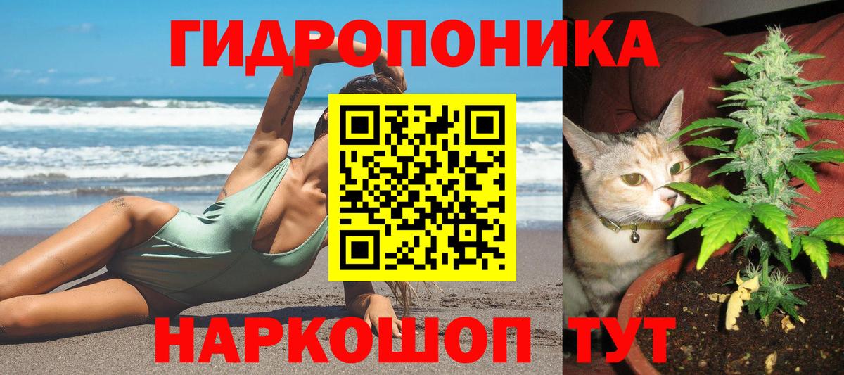 Каннабис планчик Заринск